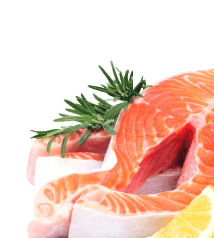 Only fresh fish to your table